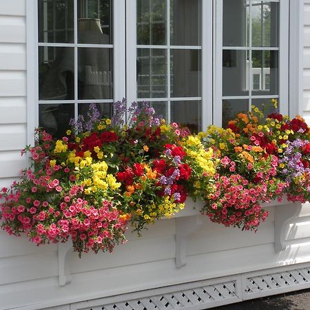 Cote'S Bed & Breakfast Grand Falls Eksteriør bilde